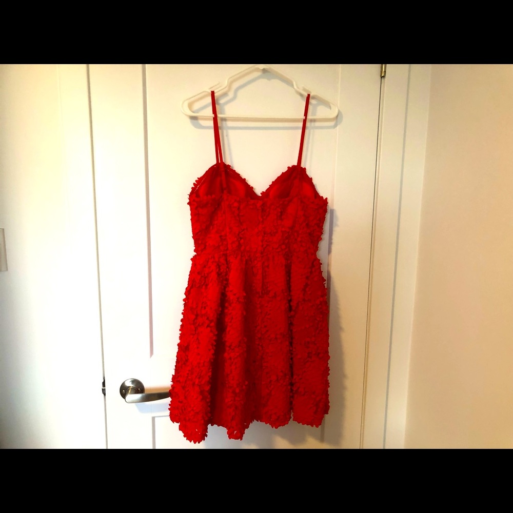 H&M Red Textured Dress - Picture 3 of 4